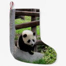 Recherche de pandas chaussette de noël Animal