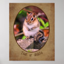 Search for wildlife posters Cute