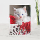 Search for tangle cards Cute