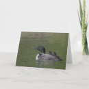Search for common cards Loon