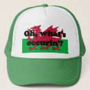 Search for cymry Welsh