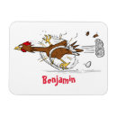 Recherche de volaille magnets Poulailler