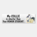 Search for collie dog bumper stickers Funny
