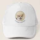 Search for pembroke hats Dog
