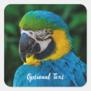 Search for blue parrot stickers Pet