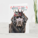 Search for newfoundland dog birthday cards Dogs