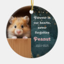 Search for hamster memorial Forever in our hearts