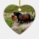 Search for horses ornaments Foal