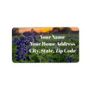 Recherche de texas bluebonnet Fleur sauvage