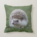 Recherche de hérissons mignons coussins Hedgie