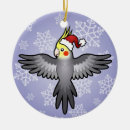 Search for cockatiel ornaments Cute