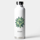 Search for cactus plant water bottles Green