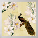 Recherche de paons blancs posters Vintage