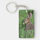 Search for lepus Rabbit