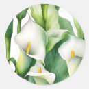 Search for white calla lily stickers Elegant