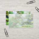 Recherche de arachnide cartes visite Animal
