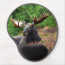 Search for moose mousepads wildlife
