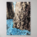 Search for tree trunk posters Forest