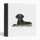 Search for lab binders Black labrador