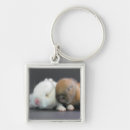 Search for selection keychains Colour image