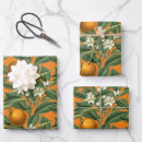 Search for orange blossom wrapping paper Citrus