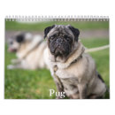 Search for pug calendars Pet