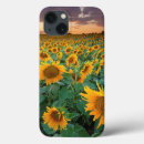 Search for cropping electronics Outdoors