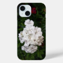 Search for carnations iphone cases Flowers