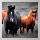 Search for selected art Horse