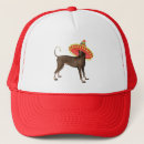 Search for cinco de mayo hats Sombrero