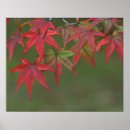 Recherche de arbre rouge art Japon