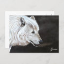 Recherche de loup arctique cartes postales Blanc
