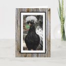 Recherche de poli vœux cartes Poulet