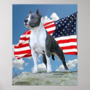 Recherche de pit bull terrier posters Pittie