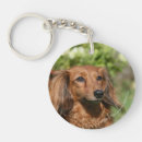 Search for dachshund long haired keychains Bob and pam langrish