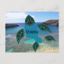 Search for turtle greeting postcards Hawaii
