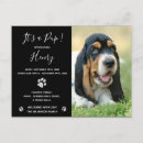 Recherche de fille chat cartes postales Parties scintillant