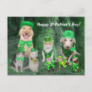 Recherche de leprechaun cartes postales Drôle