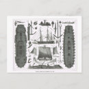 Recherche de gravure vintage cartes postales 19ème siècle