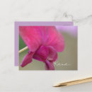 Recherche de orchidée rose cartes postales Photographie