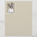 Search for cute rat cards invites Terrier