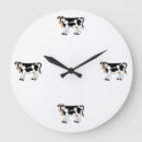 Search for cow clocks moo