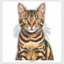 Search for brown tabby cat stickers Pet