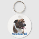 Recherche de bull terrier porteclés Staffordshire