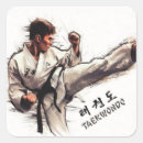 Search for taekwondo stickers Tkd