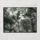 Search for monochrome photography postcards Nature