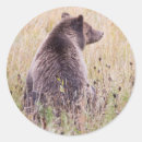Search for grizzlies stickers Brown