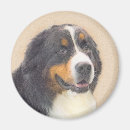 Search for bernese magnets Berner
