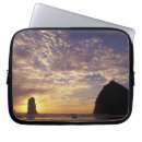 Search for sunset laptop cases Coast