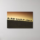 Search for camels canvas prints India